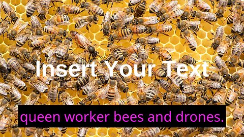 Honey bee