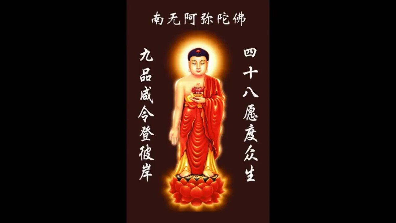 Lăng Nghiêm Ảnh Hiện 2 Tịnh Liên Nghiêm Xuân Hồng