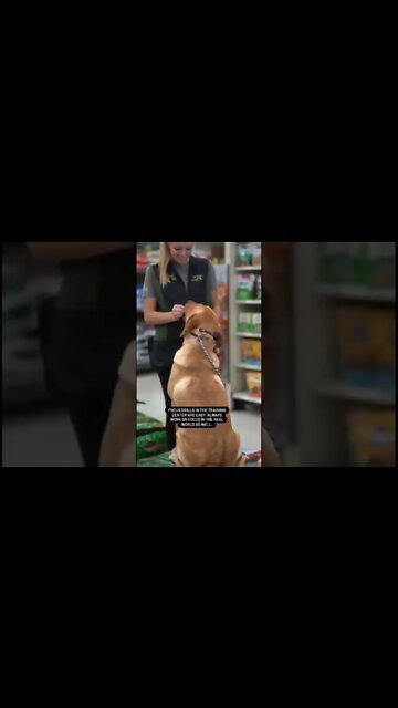 Work on Focus DRILLS in the Real World