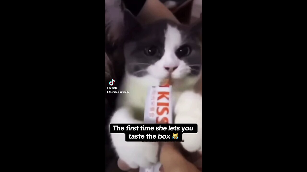 The first time she lets you taste the box 😹
