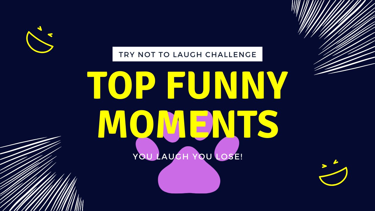 The Best of Pet Fails: You'll Laugh Until You Cry