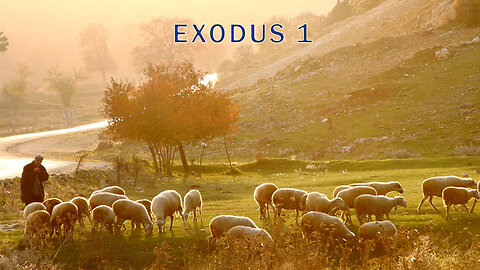Jacob Bible Study Exodus 1 4/27