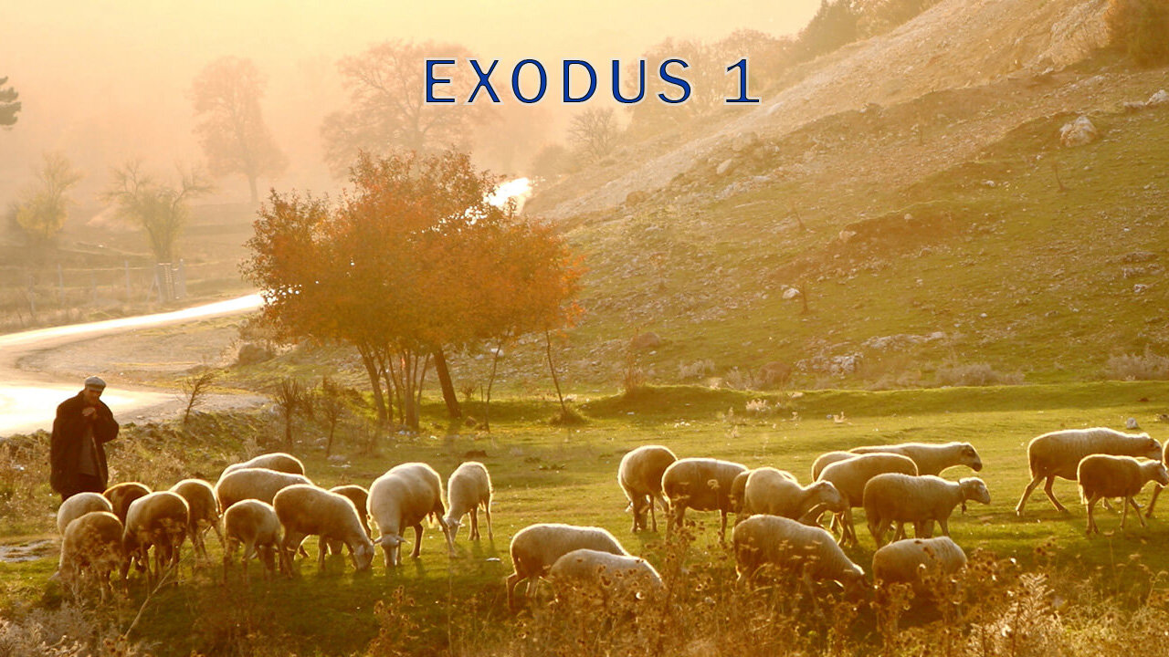 Jacob Bible Study Exodus 1 4/27