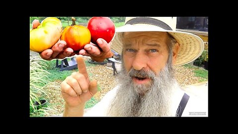 DEADLY TOMATO for MICE, RATS and bugs! AMAZING