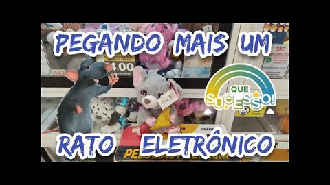 PEGANDO MAIS UM RATO🐭🐁 ELETRÔNICO...