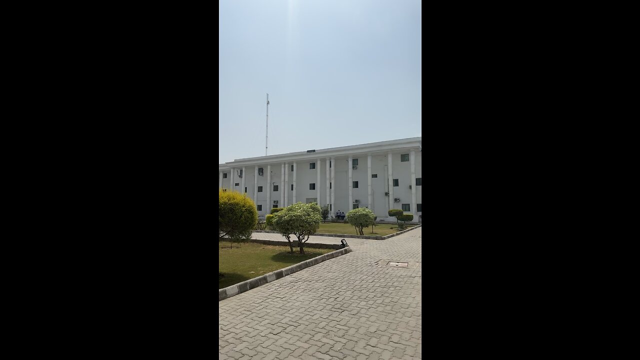 College diaries