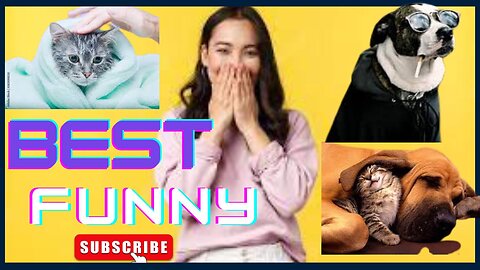 Animals Crazy Moments | Episode 125