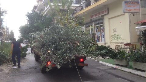 Καιρ. Φαιν. "Ελπίς" : Ηλιοφάνεια, κρύο και οι εργασίες κανονικά