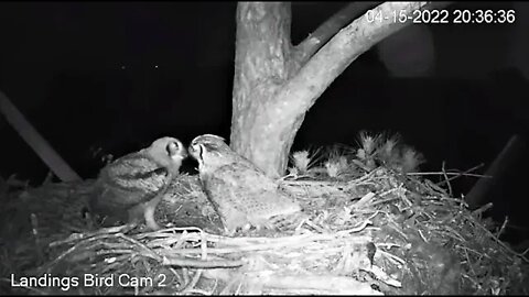 A Reunion Dinner 🦉 4/15/22 21:37