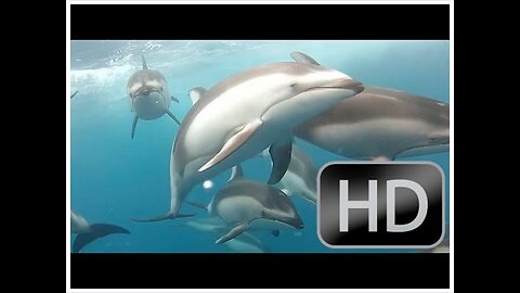 Newsboys "In Wonder" ROCKING Music Video in 1080p