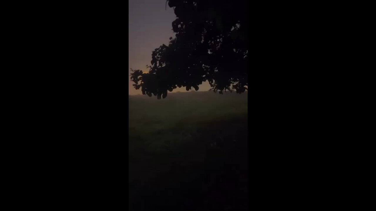 My camera skills