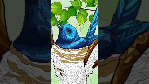 Here's a blue bird in a nest