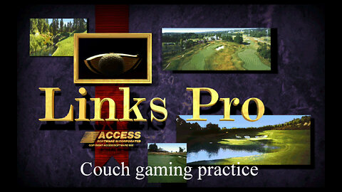 Couch gaming practice Links 386 Pro Golf (PC)