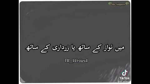 allama Dr Shafeeq ameeni sahib