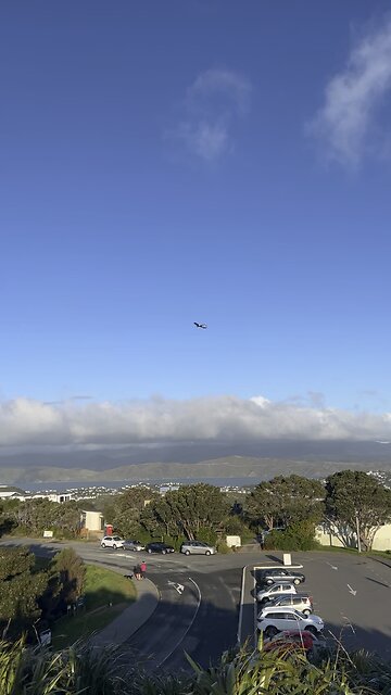 Air New Zealand ✈️