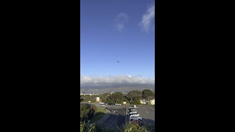 Air New Zealand ✈️