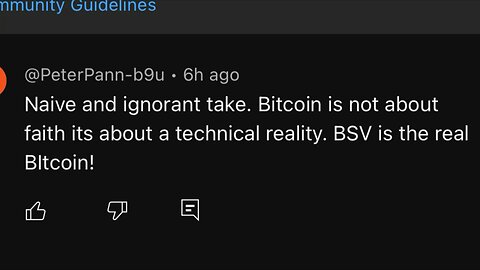 BSV is the REAL bitcoin!