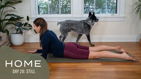 Home - Day 20 - Still | 30 Days of Yoga