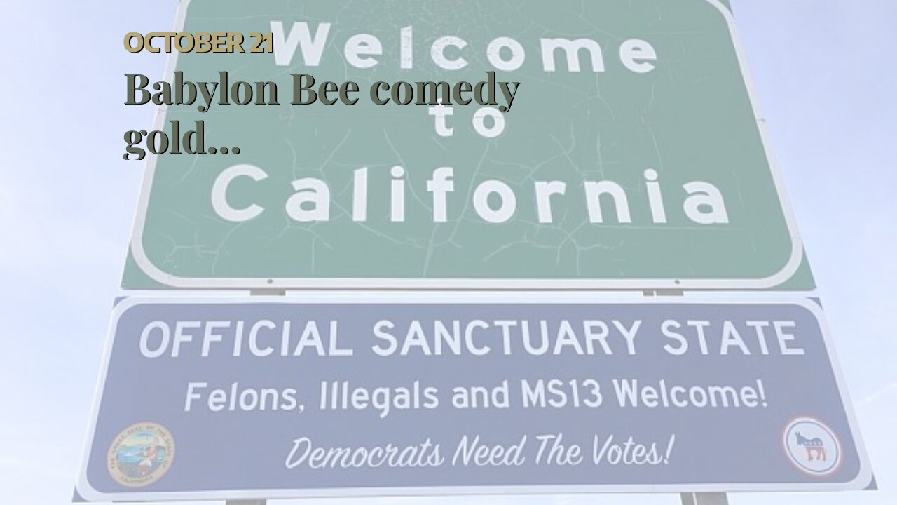 Babylon Bee comedy gold…