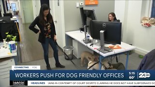 American workers pushing for pet friendly offices