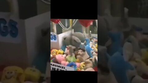 COMO ELE FOI PARAR LÁ DENTRO?😂😂😂 #shorts