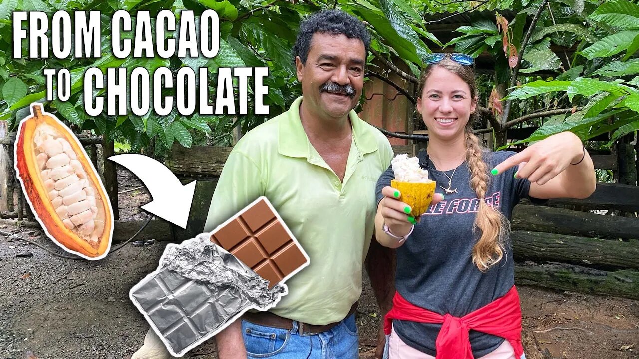 How Chocolate Is Made | Cacao Fruit Harvesting to Make Chocolate Bar