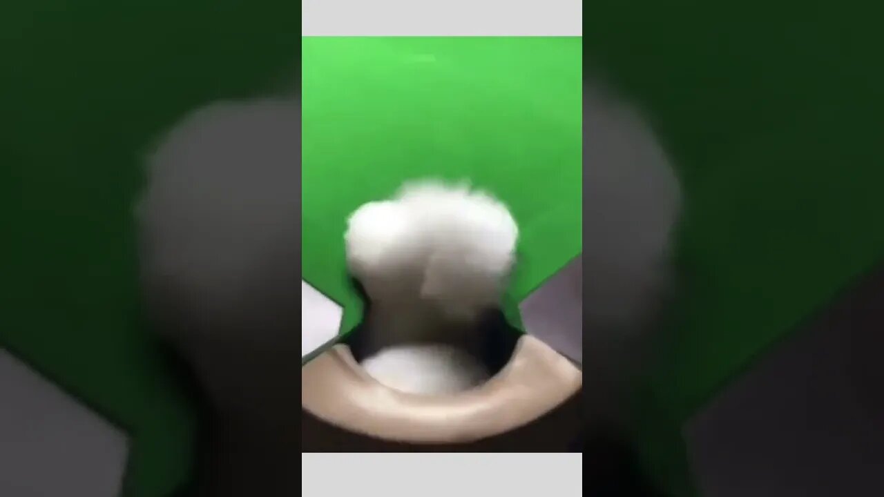 Cue ball…corner pocket. 😏😂🐶⚪️