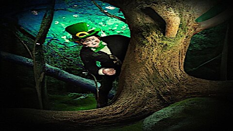 Chapter 8: A Magical Mystery: Fascinating encounter with a Leprechaun