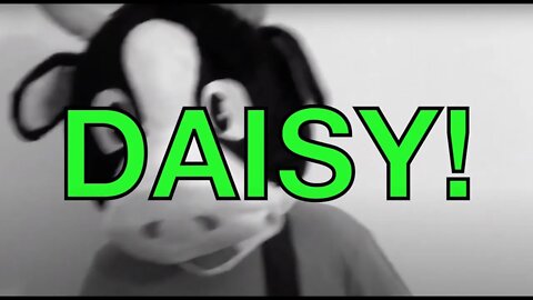 Happy Birthday DAISY! - COW Happy Birthday Song