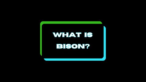 What is Bison?