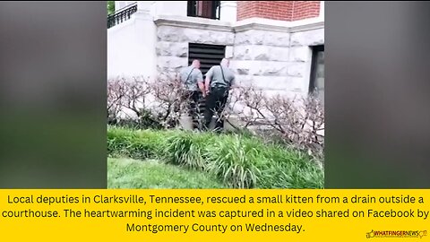 Local deputies in Clarksville, Tennessee, rescued a small kitten from a drain outside a courthouse.