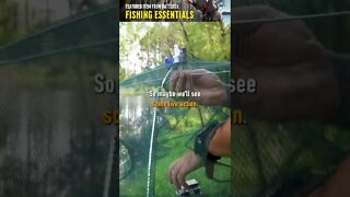 Fish Trap | Fishing Essentials #shorts