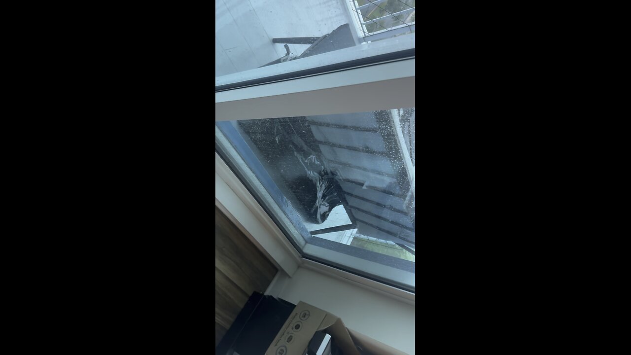 Hurricane Milton vLog 10/9/2024 1:00pm (4mXs)