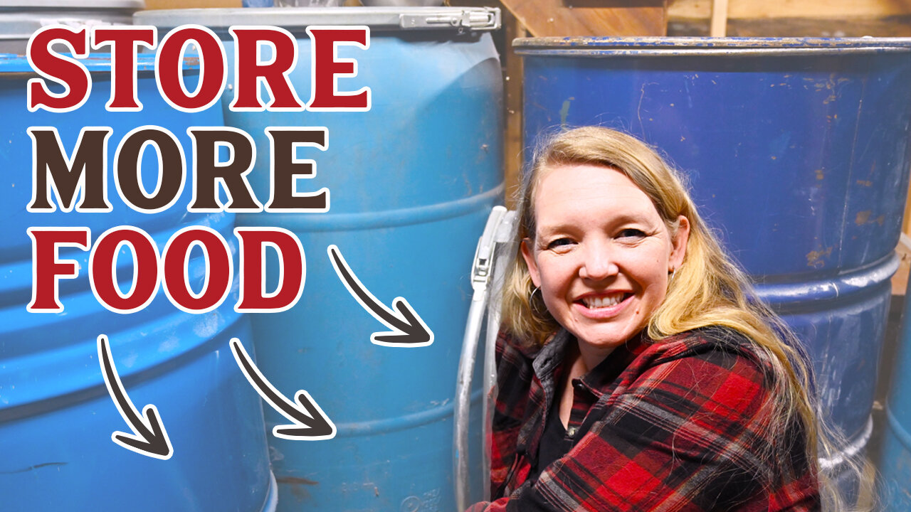 Best Foods to Store LONG-TERM in 55-Gallon Barrels!