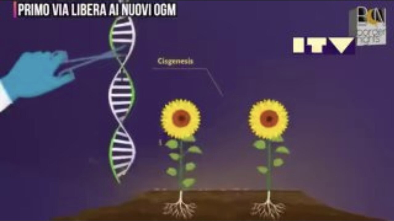 UE, CIBO: NGT i nuovi OGM delle multinazionali globaliste, Agenda 2030