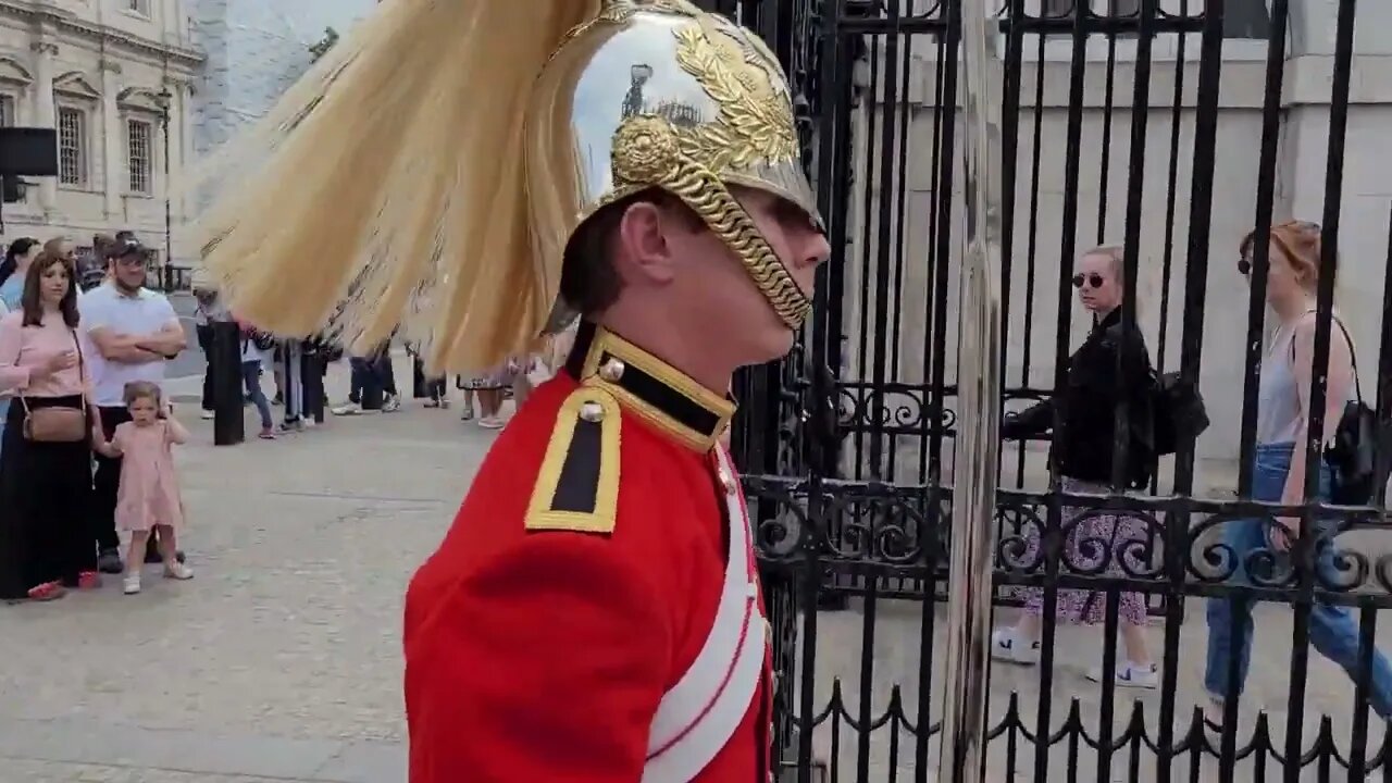 Quick check on the Queen's Guards #horseguardsparade