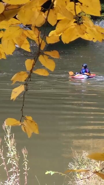 McConnells Mill State Park