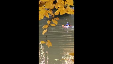 McConnells Mill State Park