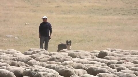 DNC Convention Final Report