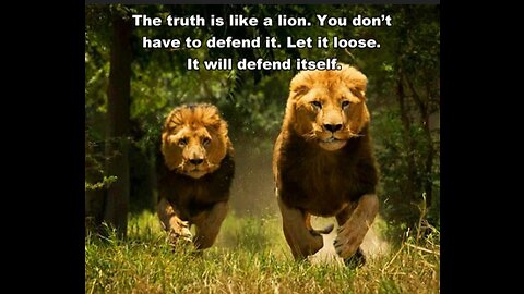 Wolfpack Vs Truth Lion