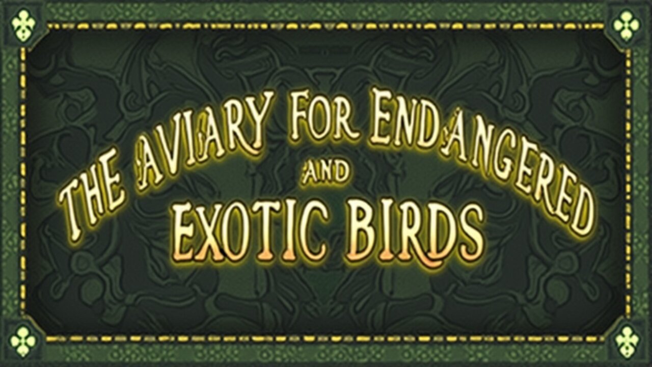 Building The Aviary for Endangered and Exotic Birds - 1st Eps