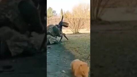 Esse não era um War dog.