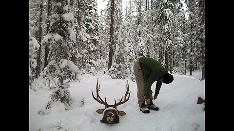 2015 Idaho Elk Hunt-Benny Hill (for the kids)