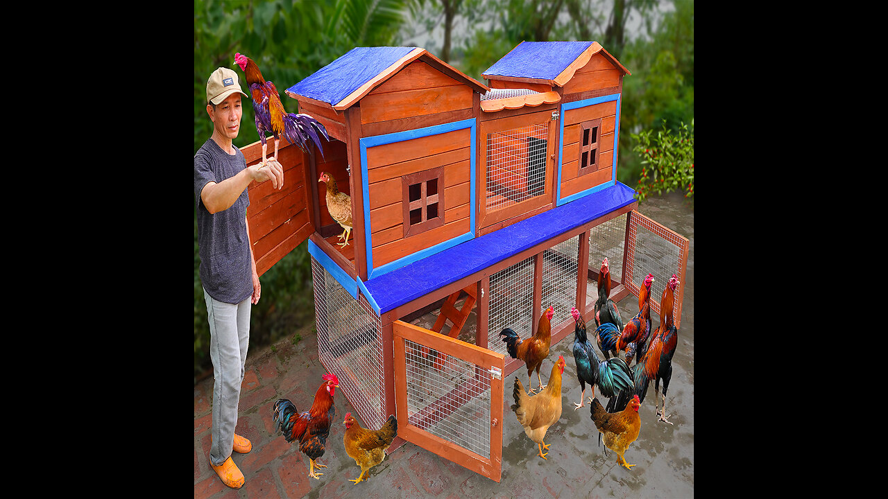 How to make chicken coop at home | The low cost chicken coop idea