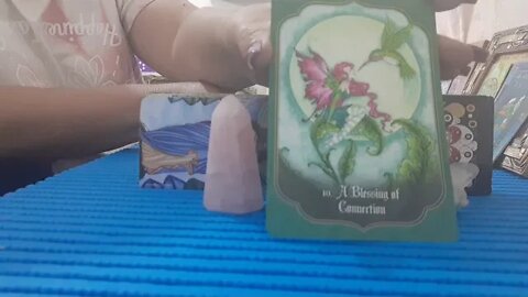 💕Vamos ter uma nova chance?💕🔮🧚🏼‍♀️