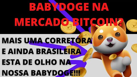 #Babydoge na maior corretora de criptomoedas brasileira?? Entenda - 100