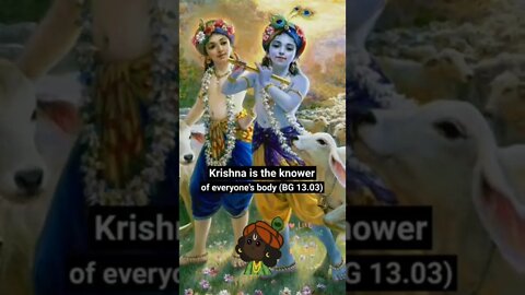 जय श्री कृष्ण 🤎🙏 #spretualfeelings #radhekrishna #rukminikrishna #thakurji❤ #jayshreeharivishnu