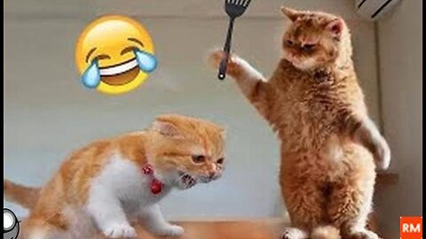 Best Funny Animal Videos of the year (2023), funniest animals ever. relax with cute animals video
