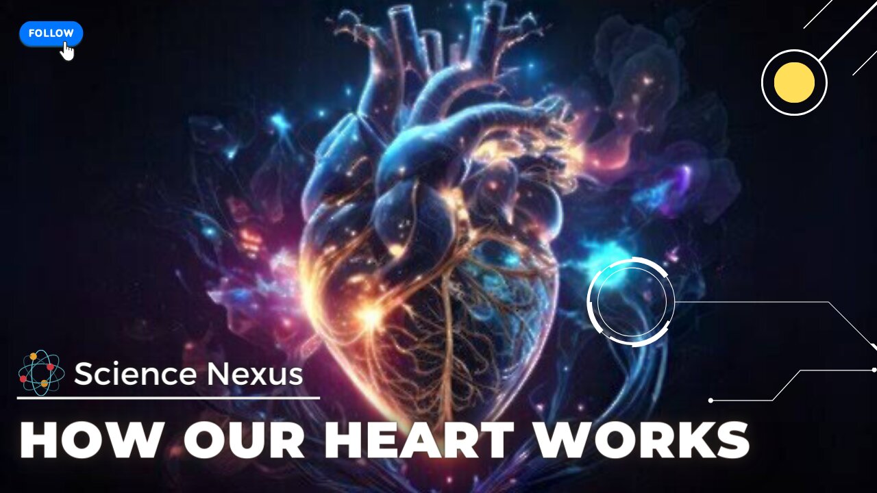 How our heart works