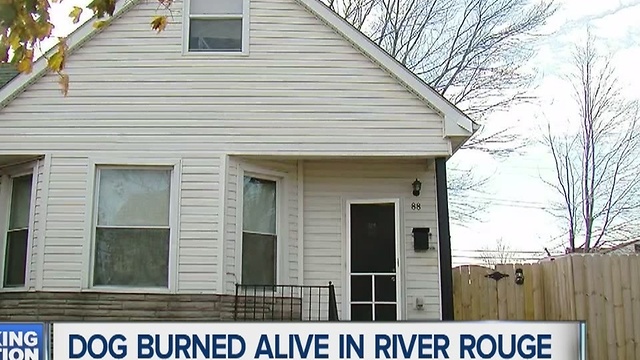 Dog burned alive in River Rouge